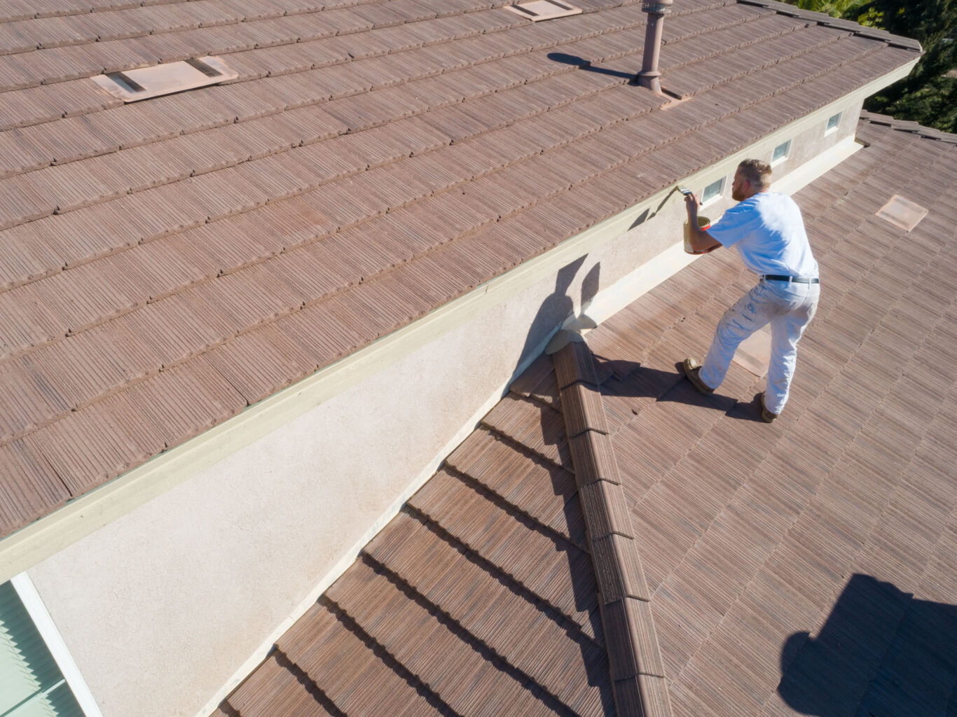 professional painter using a brush to paint house 2024 09 11 07 37 12 utc